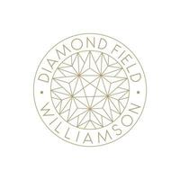 logo simple diamant et étoiles, logo de bijouterie ou exploitation de diamants vecteur