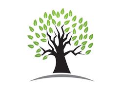 Modèle de logo vectoriel arbre vert personnes identité carte
