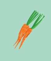 art vectoriel de carotte