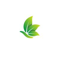 nature feuille logo design vector illustration élément icône