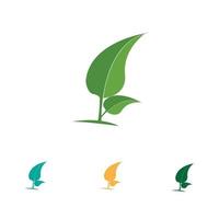 logos de l'écologie des feuilles d'arbre vert vecteur