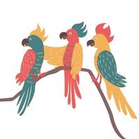 trois perroquets exotiques assis sur des brunchs. oiseaux tropicaux et illustration vectorielle de collection de perroquets