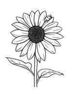 tournesol avec coccinelle en illustration vectorielle noir et blanc sur fond blanc vecteur