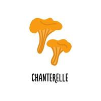 illustration vectorielle isolée de chanterelle. conception plate vecteur