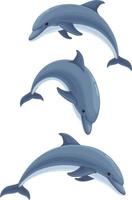 dolphin.sea life.sea animaux, élément d'illustration. vecteur