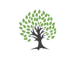 Modèle de logo vectoriel arbre vert personnes identité carte