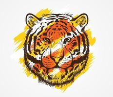 tête de tigre vector illustration dessinée à la main