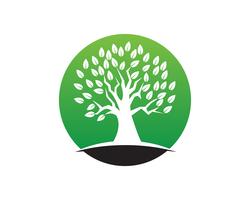 Modèle de logo vectoriel arbre vert personnes identité carte