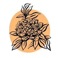 pivoine fleur illustration vectorielle dessinés à la main vecteur