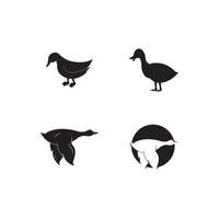 modèle d'icône de vecteur de logo de canard