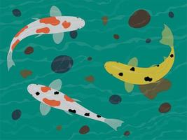illustration vectorielle sous-marine de poisson carpe koi de couleur panachée vecteur