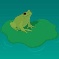 grenouille verte sur la feuille de nénuphar sur l'illustration vectorielle de l'étang vecteur