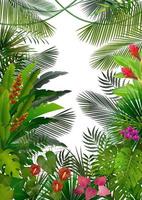 background.vector tropical exotique vecteur