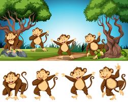 Groupe de singe dans la nature vecteur