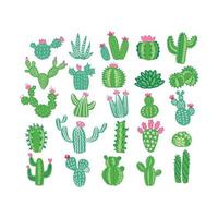 illustration vectorielle plate dessinée à la main de cactus sans pots, plantes d'intérieur, plantes succulentes. vecteur