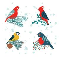 mésange, bouvreuil assis sur une branche de sapin, gui et baies de houx isolés sur fond blanc. ensemble d'illustrations de noël festives de vacances vectorielles dans un style plat de dessin animé. vecteur