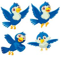 Ensemble de quatre oiseaux bleus vecteur