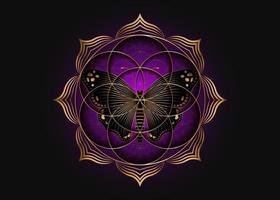 graine de fleur de vie icône de lotus et papillon magique noir, géométrie sacrée du mandala yantra, symbole doré de l'harmonie et de l'équilibre. talisman mystique, vecteur de lignes d'or isolé sur fond violet