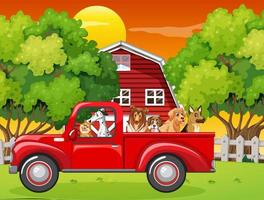 beaucoup de chiens à cheval sur un camion rouge dans la ferme