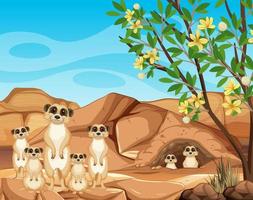 scène du désert avec un groupe de suricates vecteur