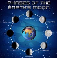 phases de la lune pour l'enseignement des sciences vecteur