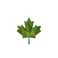 feuille verte cannabis logo modèle vector illustration icône élément