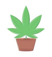 plante de cannabis en pot vecteur