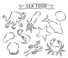 Fruits de mer illustrations vectorielles dessinés à la main isolés sur fond blanc, éléments pour la conception de menus de restaurant, décor, étiquette. Contours grunge d&#39;animaux marins. vecteur