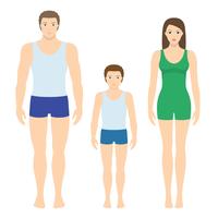 Illustration vectorielle de l&#39;homme, femme et enfant. Les proportions du corps de la vue de face humaine. vecteur