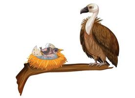 oiseau vautour avec nid vecteur