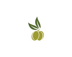 icône de vecteur pour le modèle logo olive