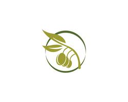 icône de vecteur pour le modèle logo olive