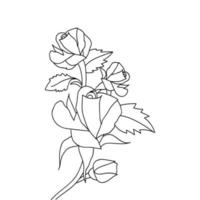 fleur rose livre de coloriage page dessin au trait illustration