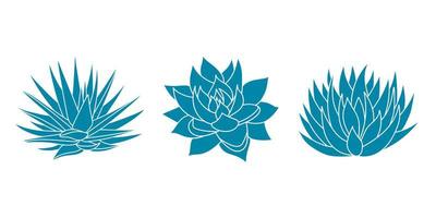 agave blue set plante dans un style plat. illustration vectorielle isolée sur fond blanc. sirop d'agave pour faire de la tequila. silhouette mexicaine succulente dessinée à la main. vecteur