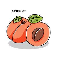 icône d'abricot dessiné à la main avec feuille. illustration vectorielle dans le style doodle vecteur