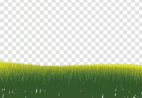 Bordure d&#39;herbe verte, isolée sur fond transparent, avec gra vecteur