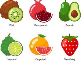 ensemble d'icônes vectorielles de tous les fruits. un ensemble de fruits frais sains isolés.