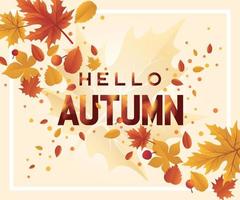bonjour modèle de saison d'automne avec motif de feuilles. feuilles d'automne en automne saisonnier. vecteur