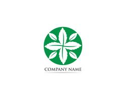 Menthe feuille logo et symbole vecteur