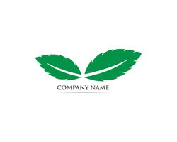 Menthe feuille logo et symbole vecteur