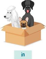 wordcard préposition avec trois chiens en boîte vecteur