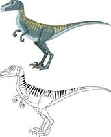 dinosaure velociraptor avec son contour doodle sur fond blanc vecteur