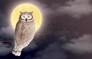 composition de nuit de hibou de lune vecteur