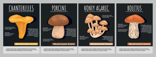 ensemble d'affiches de forêt de champignons vecteur