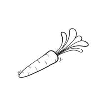 doodle carotte, vecteur de légumes nutritifs dessinés à la main dessin d'art en ligne isolé