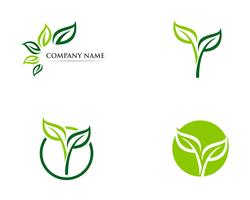 Logos du vecteur d&#39;élément nature feuille verte écologie