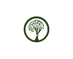 arbre généalogique logo template vecteur