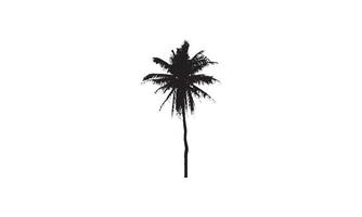 création de logo d'illustration vectorielle palm noir et blanc vecteur