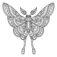 papillon beau dessiné à la main pour livre de coloriage adulte vecteur