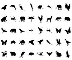 silhouette d'animaux et d'oiseaux vecteur